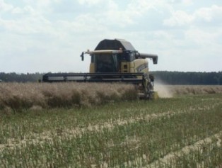 pro agro