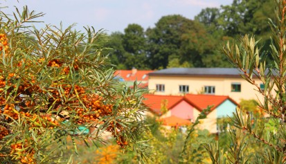 pro agro