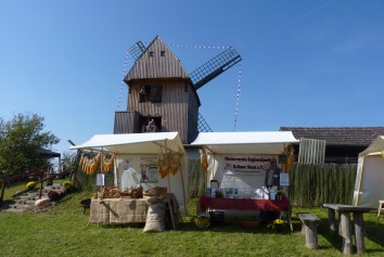 Bild Bockwindmühle Vehlefanz