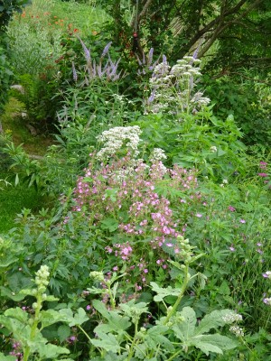 Bild Saatgut und Permakulturgarten Alt-Rosenthal