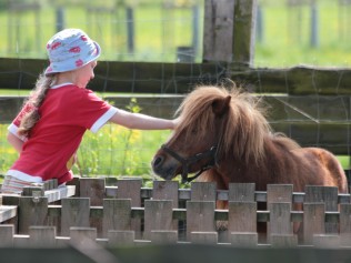 Bild Kinderbauernhof Marienhof