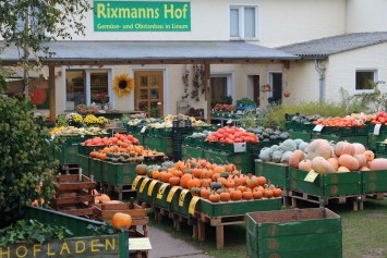 Bild Rixmanns Hof Linum