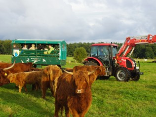pro agro
