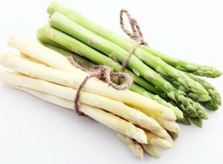 pro agro