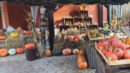 Bild Kürbisolli`s Shop - Hofladen mit Kürbis-Spezialitäten