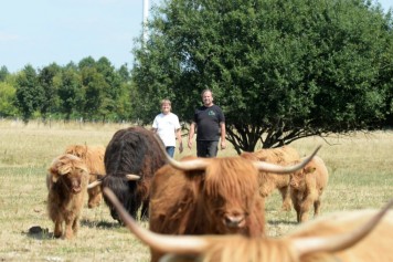 Bild Hofladen Ökohof Gotsgarten - Fleisch vom Highland Cattle
