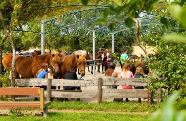Bild Reiter- und Erlebnisbauernhof Groß Briesen GmbH