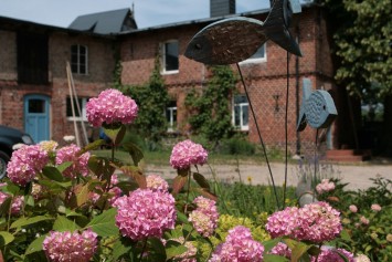 Bild Fischerei Schröder - Fisch aus Brandenburg
