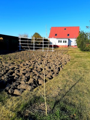 Bild Mühlensicht