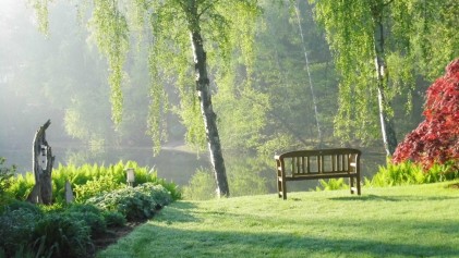 Bild Kräuter- und Naturhof