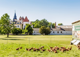 Bild Schloss & Gut Liebenberg, DKB STIFTUNG