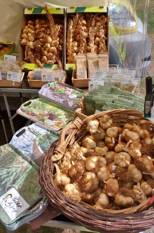 pro agro