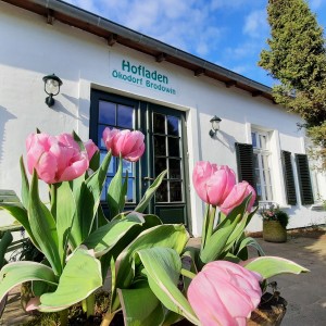 Bild Ökodorf Brodowin