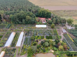 Bild Dubrauer Baumschule - Bäume und Pflanzen aus Brandenburg